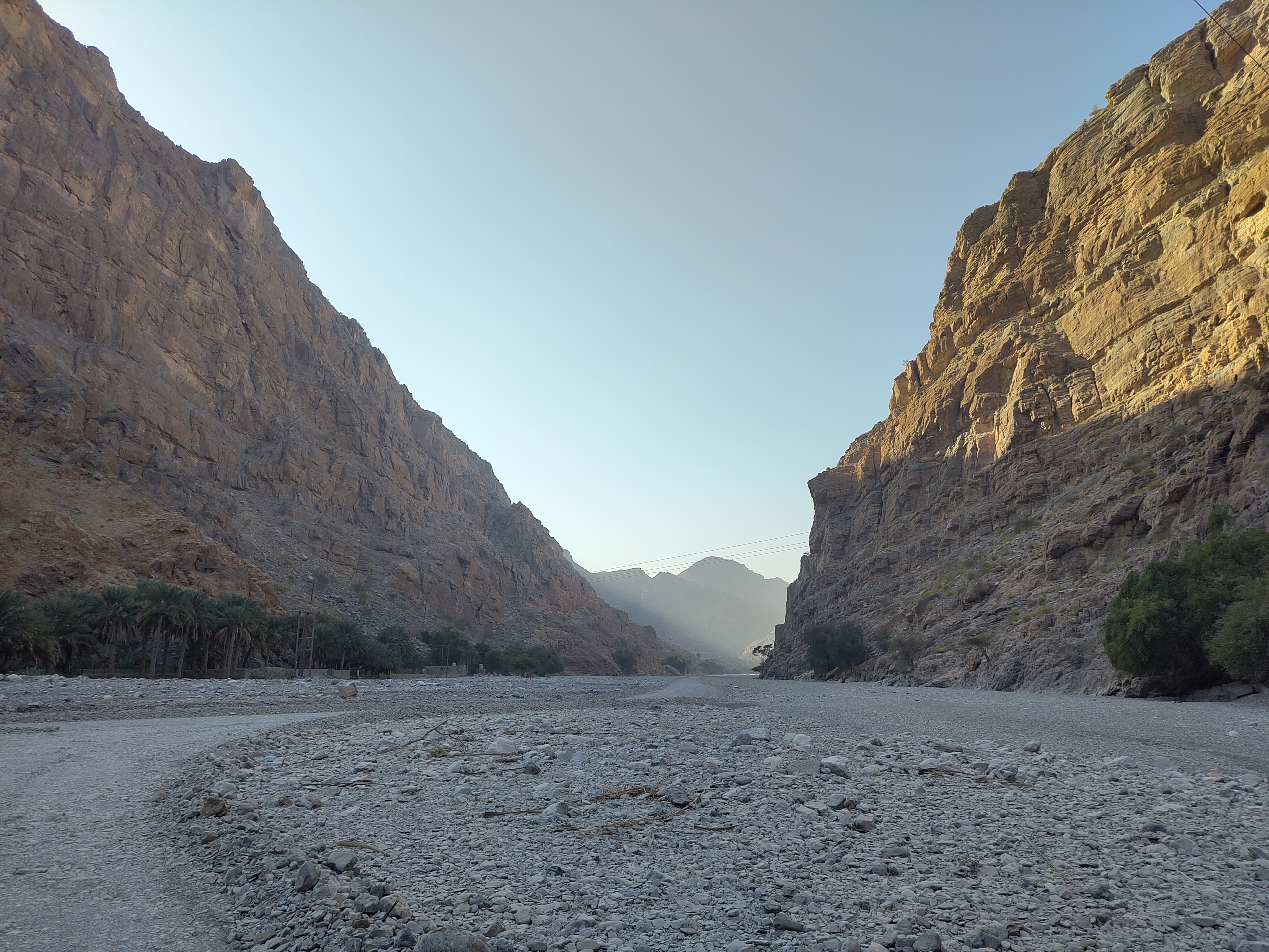 Morning in the wadi.