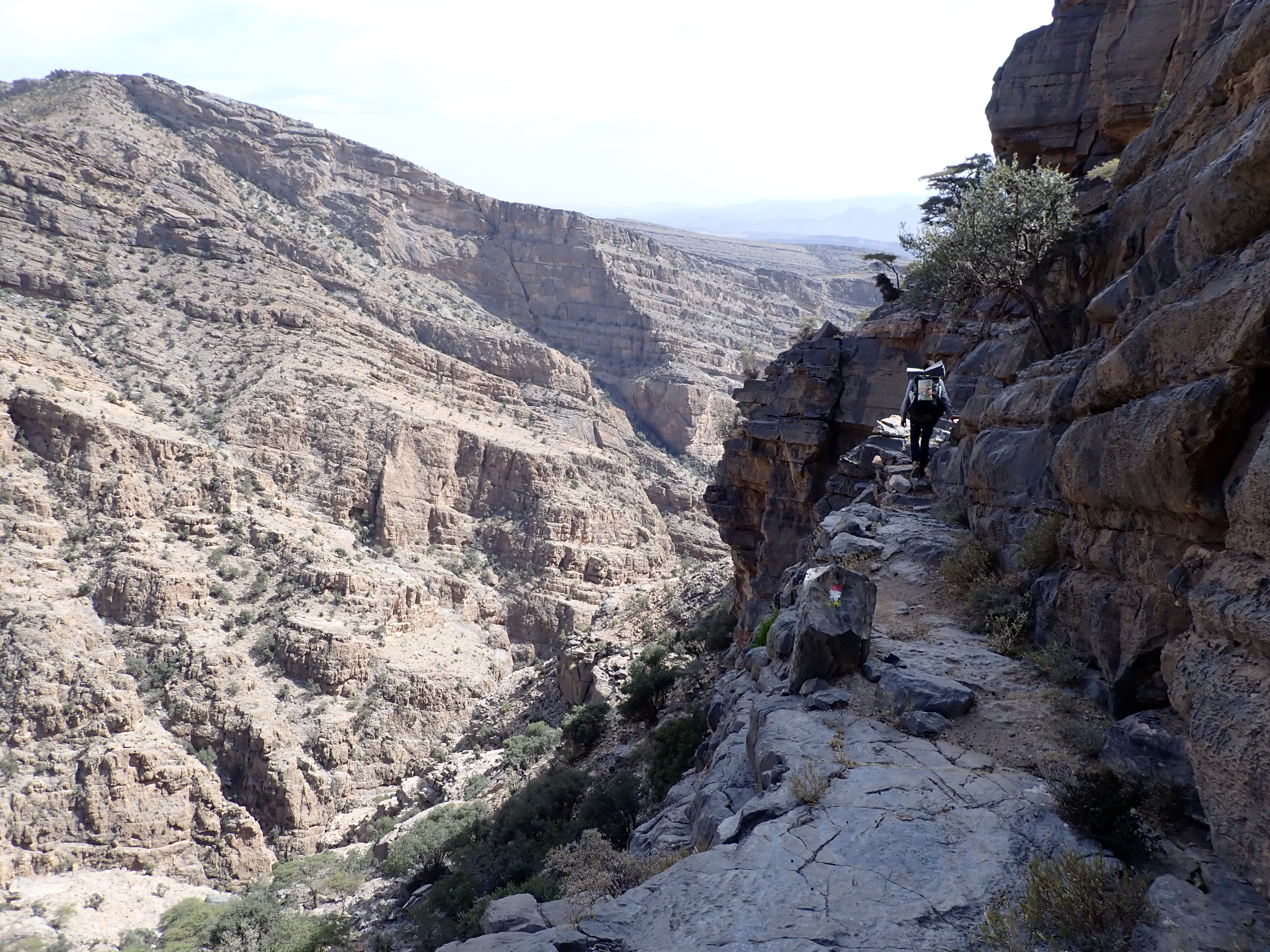 The cliff path