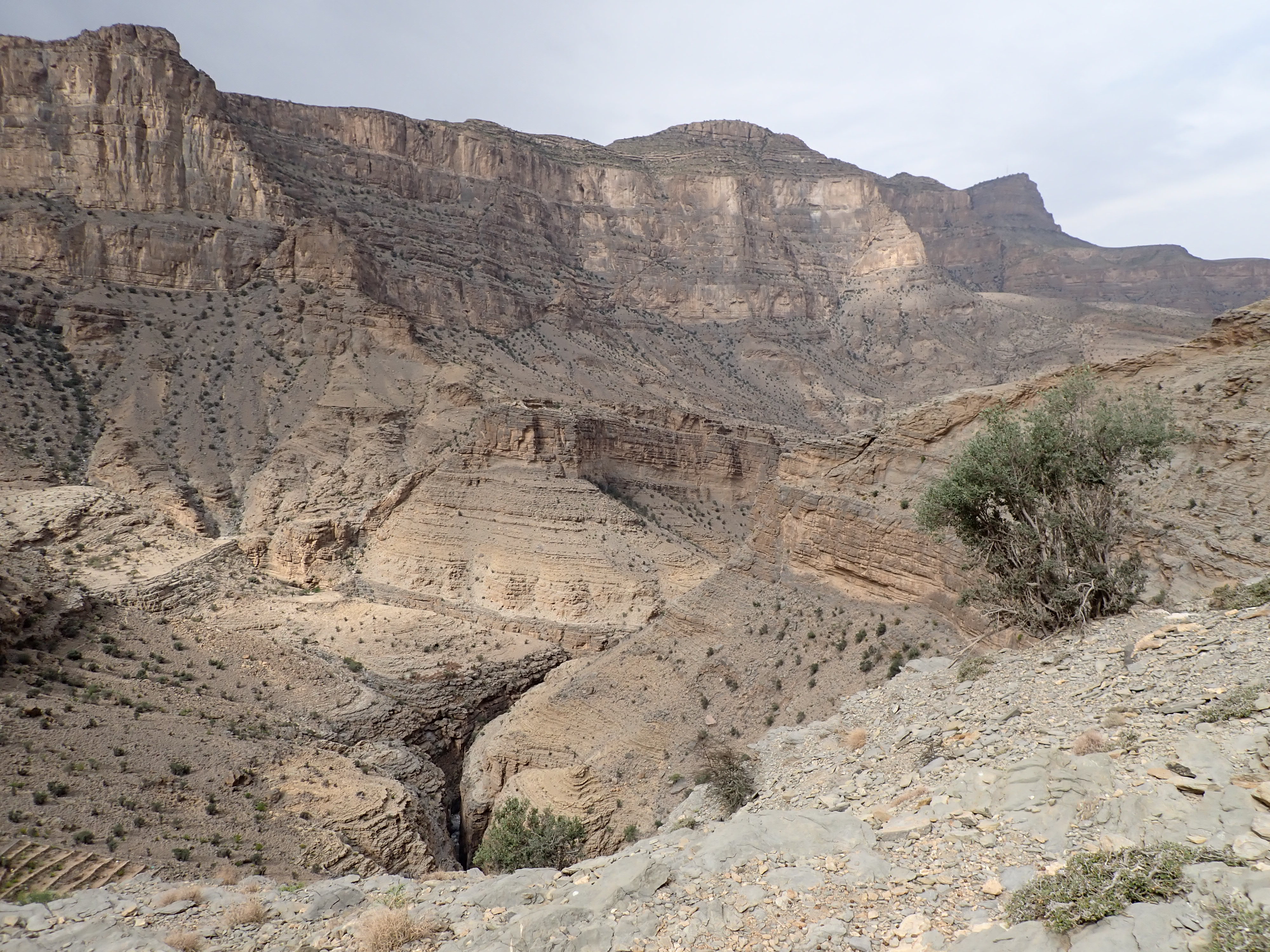 Wadi view